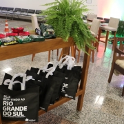 Passageiros foram recebidos com abraços de familiares e amigos e lembranças da Setur